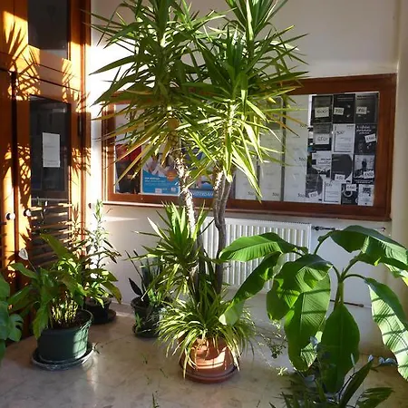 Tomori Pal Foiskola Kollegiuma Hostel *